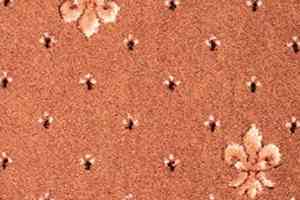 Ковролин Balta ITC Heritage 64 фото  | FLOORDEALER