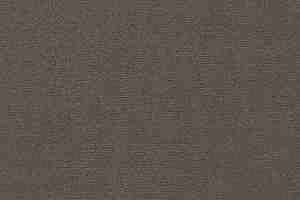 Ковролин Vorwerk Passion 1021 Vorwerk 7e59 фото  | FLOORDEALER