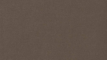 Ковролин Vorwerk Passion 1021 Vorwerk 7e59 фото 1 | FLOORDEALER