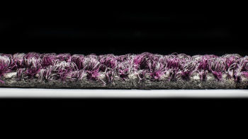 Illusion f 16 фото 3 | FLOORDEALER