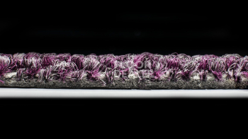InnovFlor Illusion f 16 фото 3 | FLOORDEALER