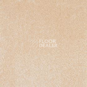 Ковролин AW Superbe 30 фото 1 | FLOORDEALER