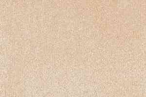 Ковролин AW Superbe 30 фото  | FLOORDEALER