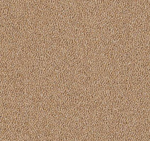 Ковровая плитка Westbond Natural w 12921 u фото 1 | FLOORDEALER