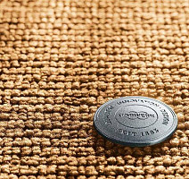 Ковролин Vorwerk Essential 1031 Vorwerk 2f28 фото 1 | FLOORDEALER