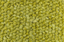 Season - Summer / Winter 220 фото 2 | FLOORDEALER