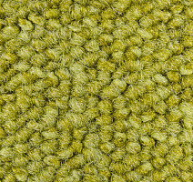 Season - Summer / Winter 220 фото 2 | FLOORDEALER