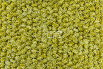 Balsan Season - Summer / Winter 220 фото 2 | FLOORDEALER