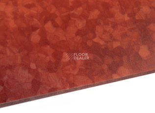 Tarkett iq Melodia 2634 фото 5 | FLOORDEALER