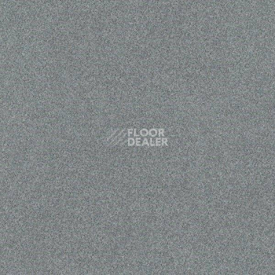 Ковровая плитка Interface Polichrome 7551 Abalone фото 1 | FLOORDEALER