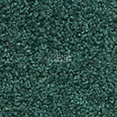 Ковролин Girloon Flair 470 фото 1 | FLOORDEALER