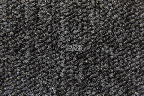 Desso Essence 9502 фото 2 | FLOORDEALER