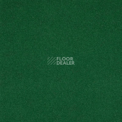 Ковролин Tarkett Enter Enter 52510 фото 1 | FLOORDEALER