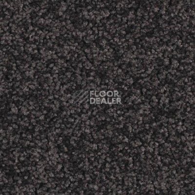 Ковровая плитка Balsan Serenite 981 фото 1 | FLOORDEALER