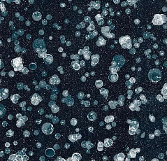 Ковролин Flotex Vision Pattern 001592 Starwalk Jade фото 1 | FLOORDEALER