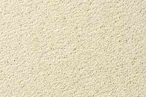 Ковролин Vorwerk Passion 1003 Vorwerk 6c55 фото  | FLOORDEALER