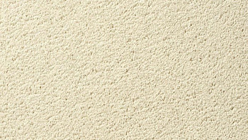 Ковролин Vorwerk Passion 1003 Vorwerk 6c55 фото 1 | FLOORDEALER