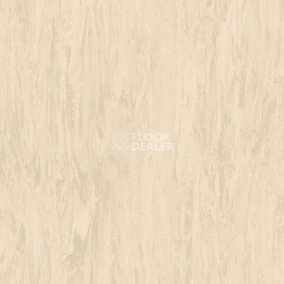 Линолеум Tarkett Somplan 150 3026 681 (3019 681) фото 1 | FLOORDEALER