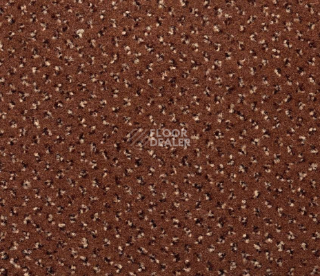 Ковролин Big Venezia 995 фото 1 | FLOORDEALER