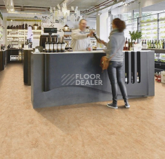 Forbo Marmoleum Marbled Real 3075 Shell фото 2 | FLOORDEALER