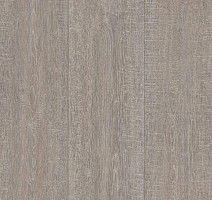 Линолеум Tarkett Orion MORIS_1 фото 1 | FLOORDEALER