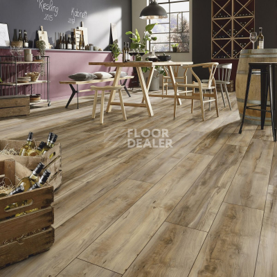 Ламинат Kronotex Exquisit 8мм d6007 Клен Каньон фото 2 | FLOORDEALER