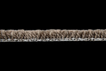 Mountain View 4398 фото 4 | FLOORDEALER