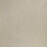 Ковролин Haima Unique Trend 26 фото 1 | FLOORDEALER