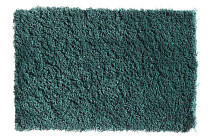 Ковролин Balta Wild Luxury Teddy 27 фото 1 | FLOORDEALER