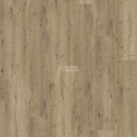 Kronotex Mega Plus d3668 Дуб Неброский фото 5 | FLOORDEALER