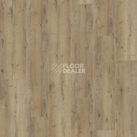 Kronotex Mega Plus d3668 Дуб Неброский фото 5 | FLOORDEALER