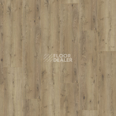 Ламинат Kronotex Mega Plus d3668 Дуб Неброский фото 5 | FLOORDEALER