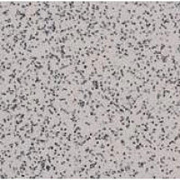 Линолеум Apoluza SportFloor PVC Emery Safety BXSF20-7201 фото 1 | FLOORDEALER