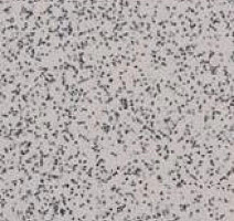 Линолеум Apoluza SportFloor PVC Emery Safety BXSF20-7201 фото 1 | FLOORDEALER