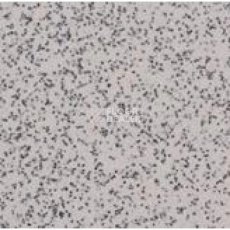 Линолеум Apoluza SportFloor PVC Emery Safety BXSF20-7201 фото 1 | FLOORDEALER