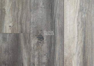 Ламинат My Floor Villa 12мм m1204 Дуб Серый Портовый фото 1 | FLOORDEALER