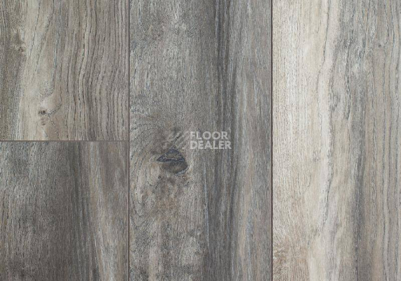 Ламинат My Floor Villa 12мм m1204 Дуб Серый Портовый фото 1 | FLOORDEALER