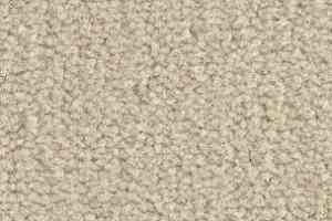 Ковролин Balsan Les Best III Les Best III 605 фото  | FLOORDEALER