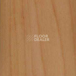 Линолеум Grabo Durity 4159-471-1 фото 1 | FLOORDEALER