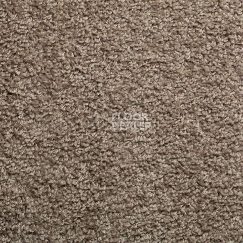 Ковролин Sintelon Harmony 83256 фото 1 | FLOORDEALER