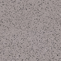 Линолеум Tarkett iq Era sc 801 фото 1 | FLOORDEALER