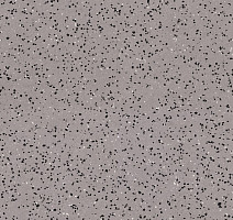 Линолеум Tarkett iq Era sc 801 фото 1 | FLOORDEALER