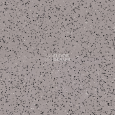 Линолеум Tarkett iq Era sc 801 фото 1 | FLOORDEALER