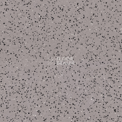 Линолеум Tarkett iq Era sc 801 фото 1 | FLOORDEALER