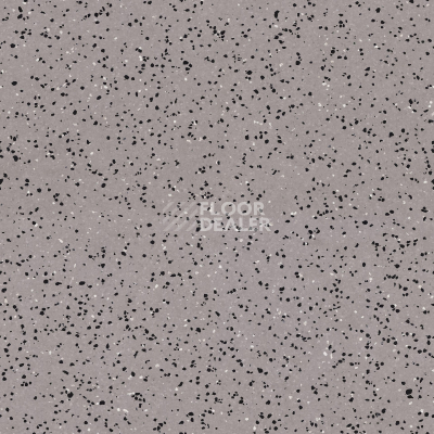 Линолеум Tarkett iq Era sc 801 фото 1 | FLOORDEALER