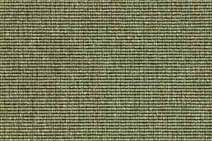 Ковролин Carpet Concept Eco 1 6635 фото  | FLOORDEALER