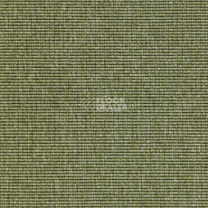 Ковролин Carpet Concept Eco 1 6635 фото 1 | FLOORDEALER
