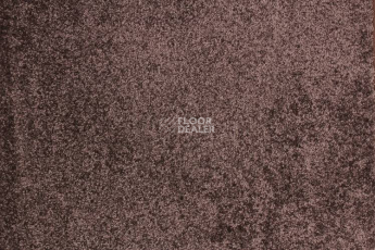 Ковролин Betap Tardi 97 фото 1 | FLOORDEALER