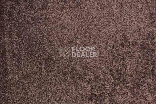 Ковролин Betap Tardi 97 фото 1 | FLOORDEALER