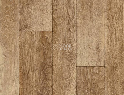 Линолеум Grabo Terrana 22 4235-262-4 фото 1 | FLOORDEALER